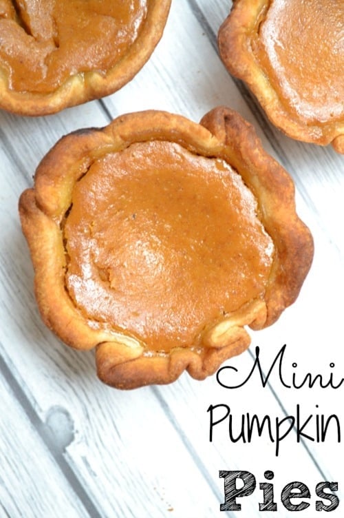 Mini-Pumpkin-Pies from Luva Bargain