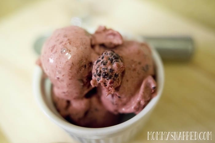 Vegan Dairy Free Fruit Ice Cream from Mommy Snapped