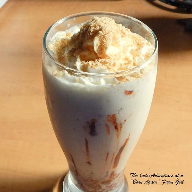 S'more Milkshake from Born Again Farm Girl
