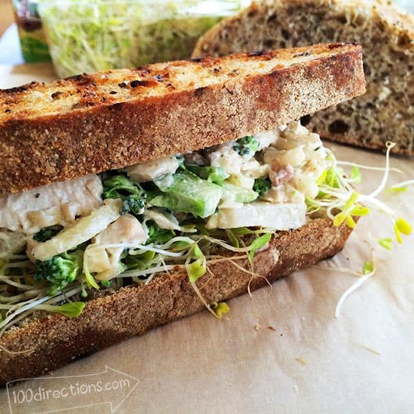 Chicken-Cashew-sandwich-yum from 100 Directions