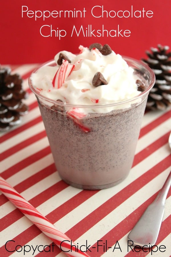 Peppermint-Chocolate-Chip-Milkshake-Recipe from Bargain Briana